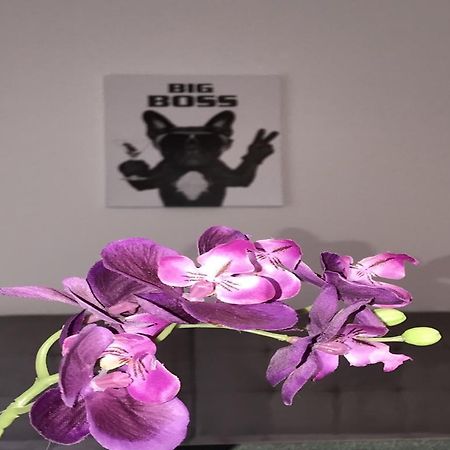 Apartment Am Ring 보훔 외부 사진